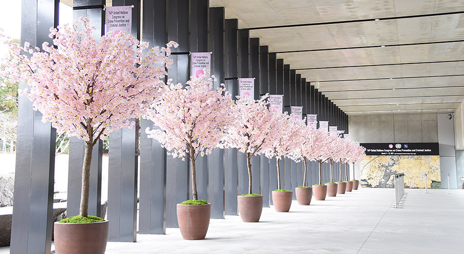 Entrance decorated in a Japanese springtime motif