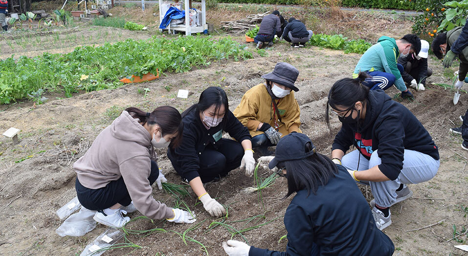 苗を植えながらのコミュニケーション